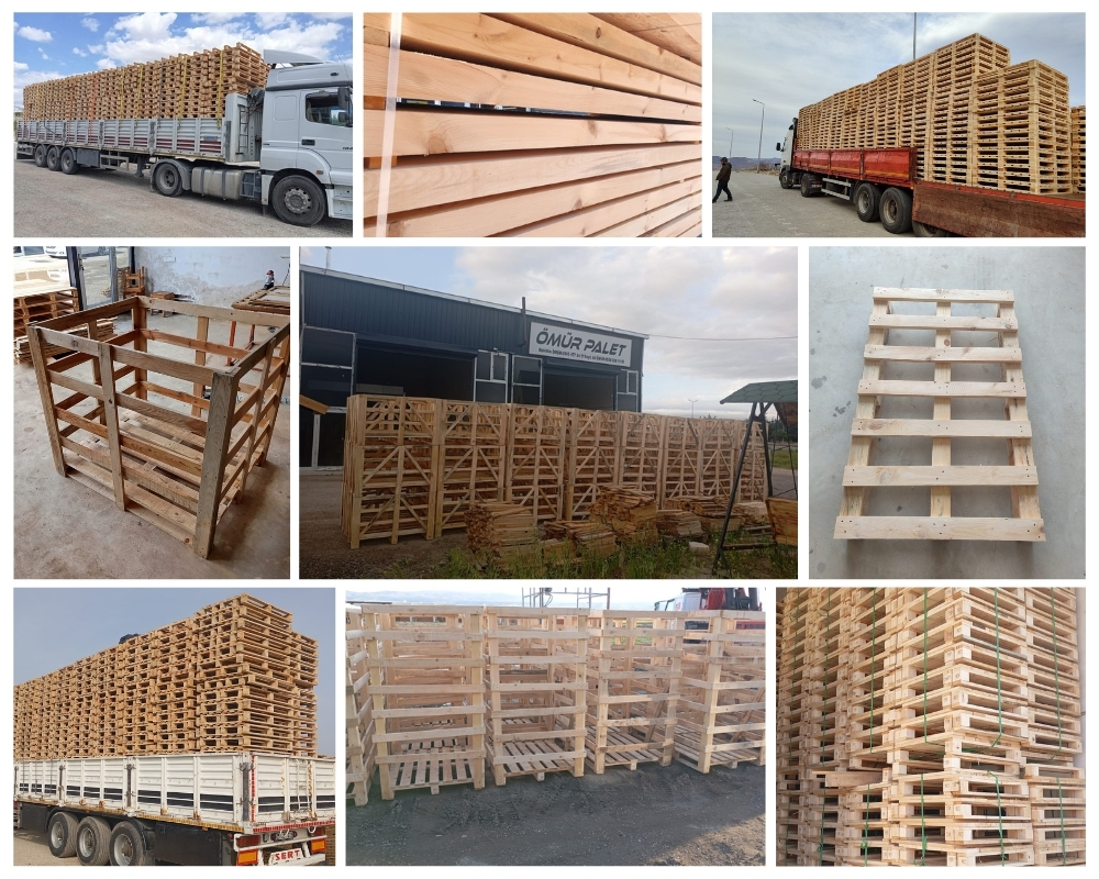 Newton Poppleford Wooden Pallets, Buy Wooden Pallets Wholesale